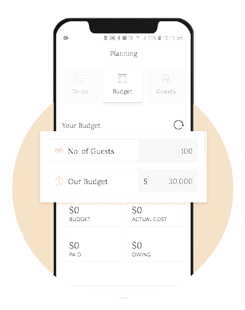 Easily Manage Wedding Expenses with the Budget Calculator